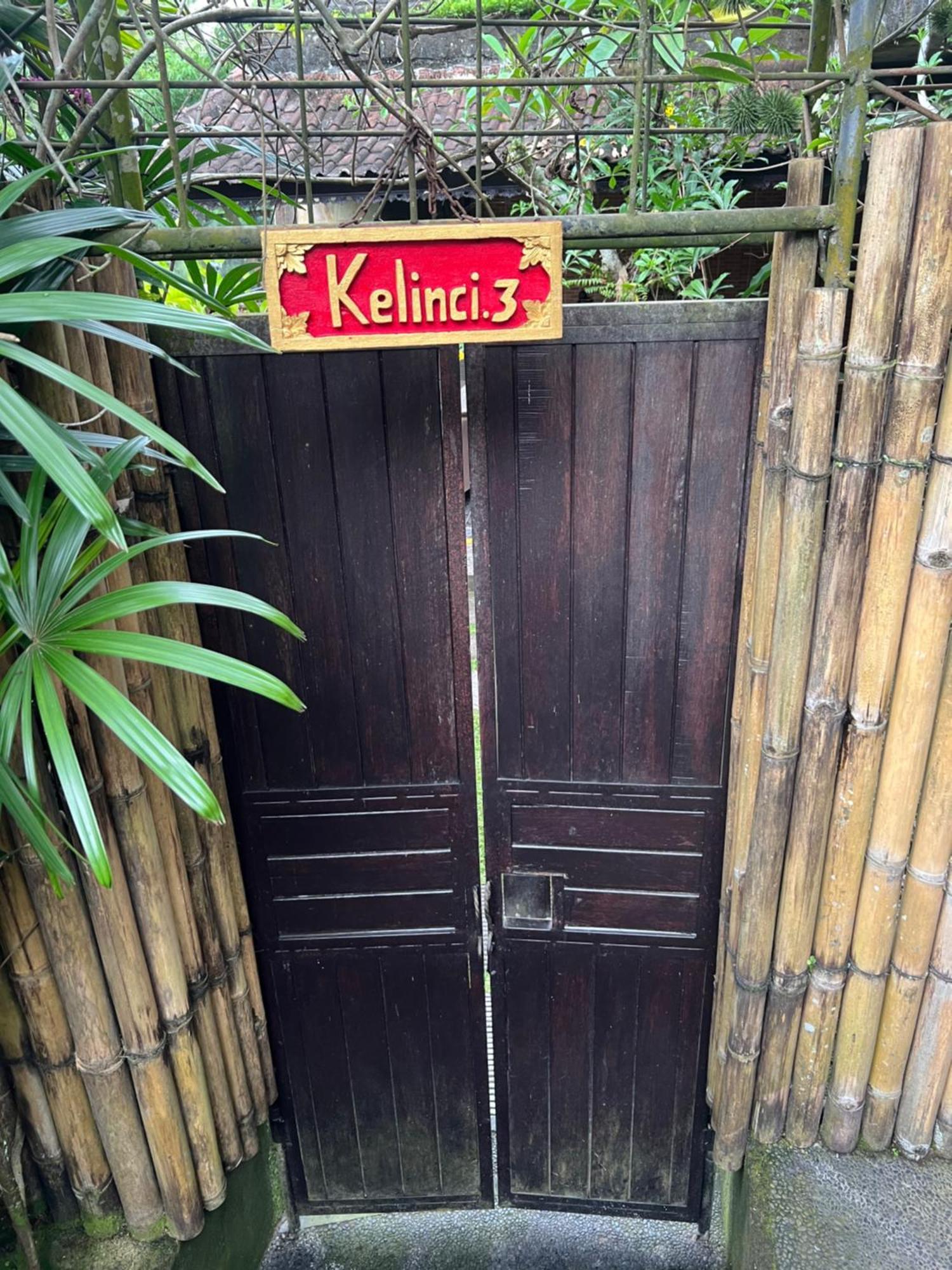 Rumah Kelinci Ουμπούντ Εξωτερικό φωτογραφία